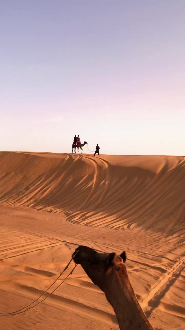 Exploring Jaisalmer: Desert Landscapes & Camels
