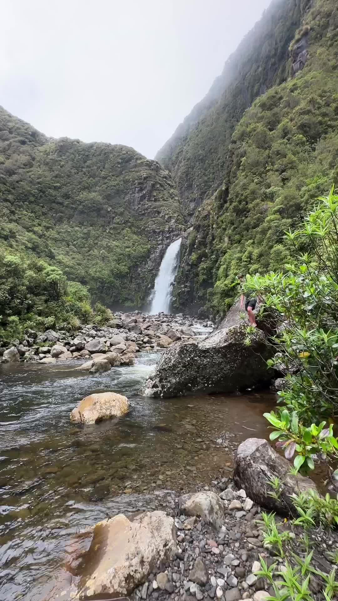 Discover the Beauty of Pouakai Crossing at Mt Taranaki