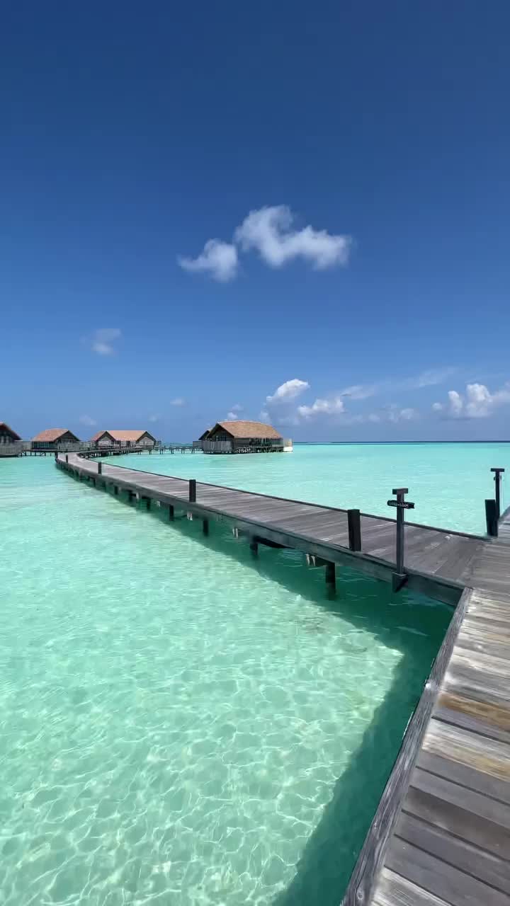 Mesmerizing Maldives Hues: Timeless Beauty 💦