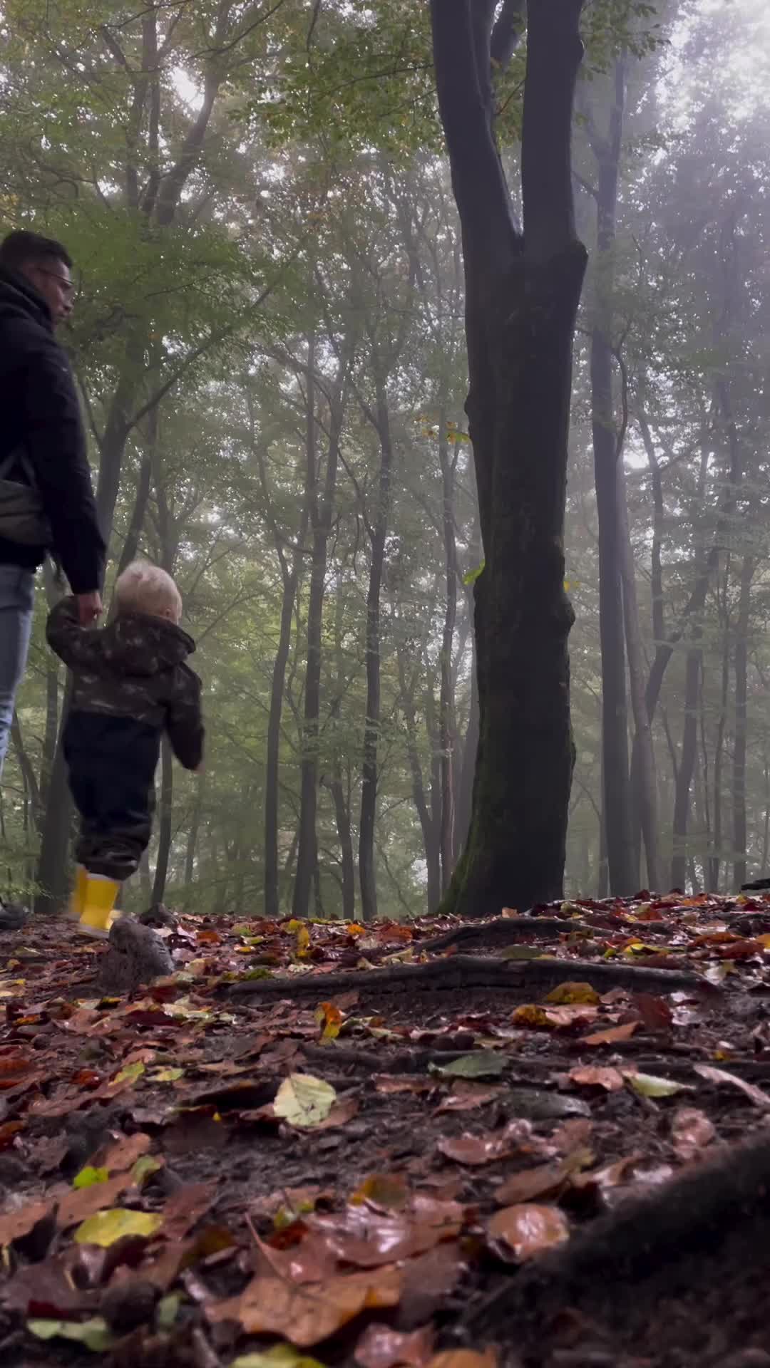 Exploring Dutch Woods with My Toddler | Zeewolde, Netherlands