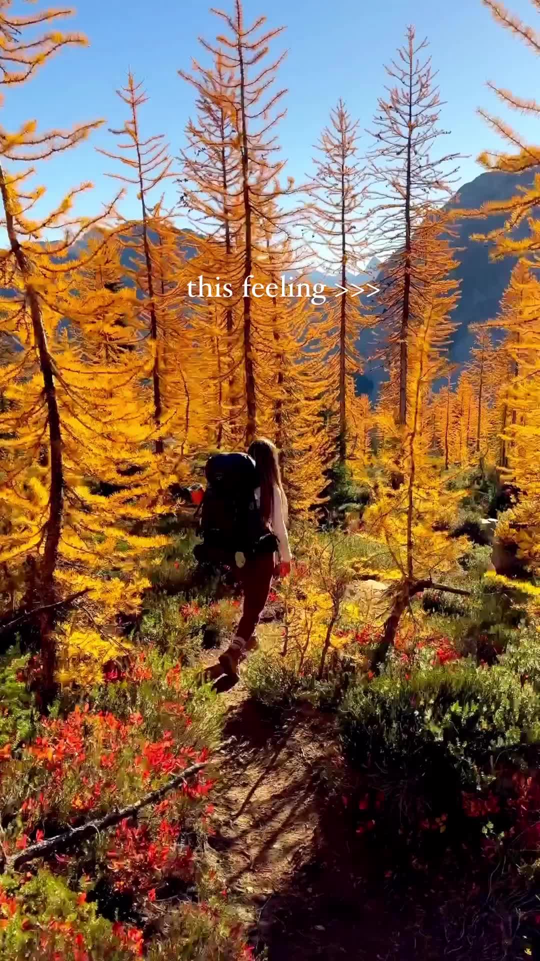 North Cascades: Feel Alive in Nature's Beauty