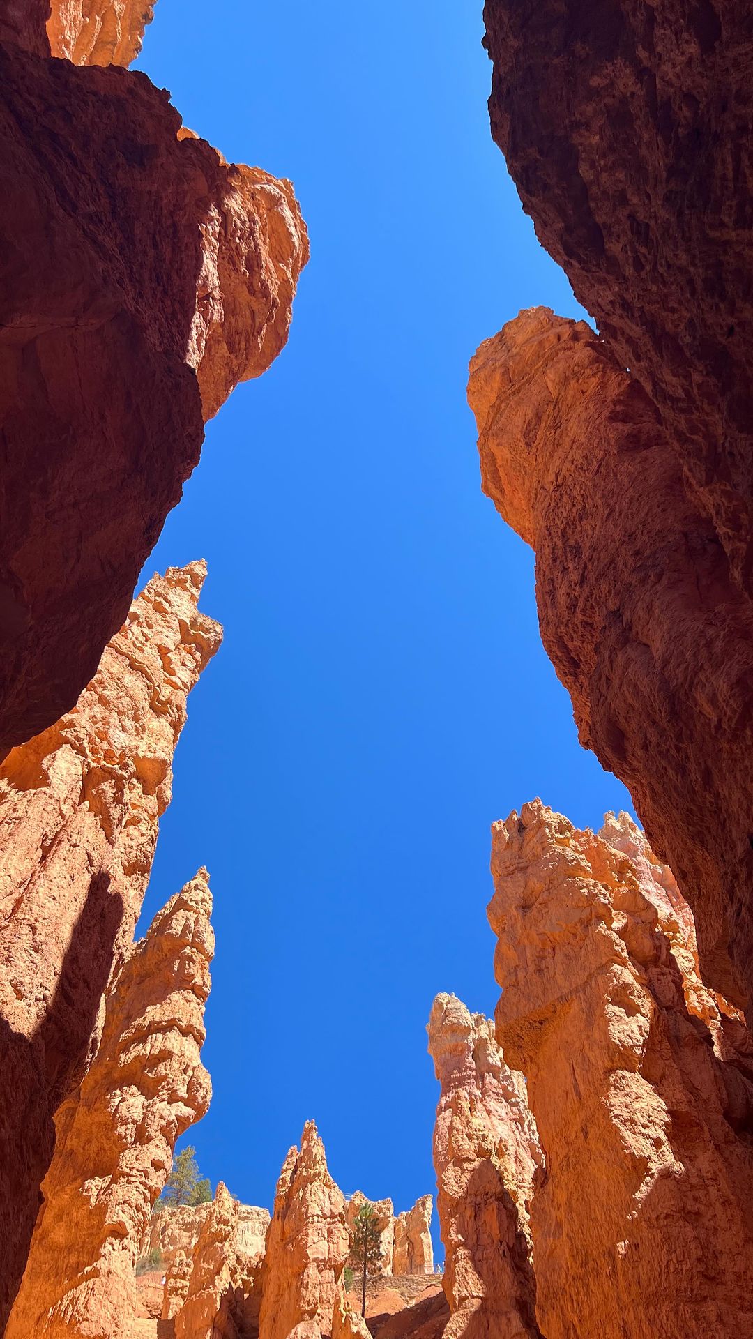 Bryce Canyon National Park 2-Day Adventure