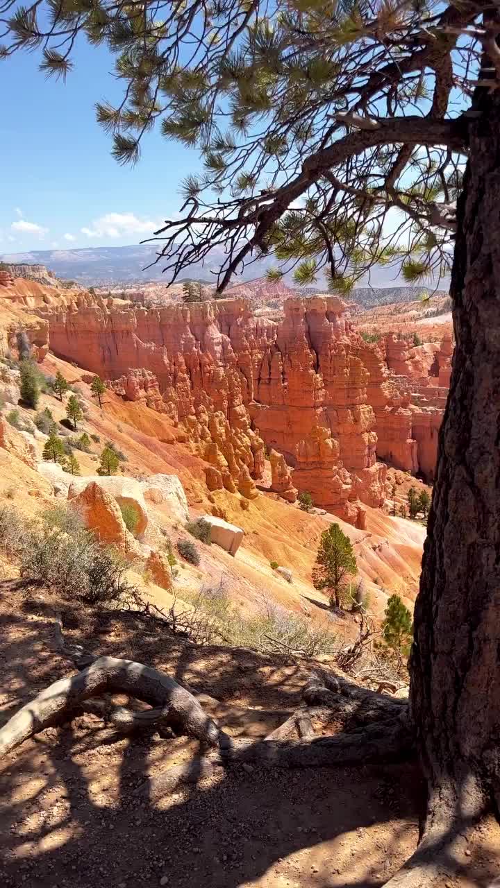 Discover Bryce Canyon's Natural Wonders