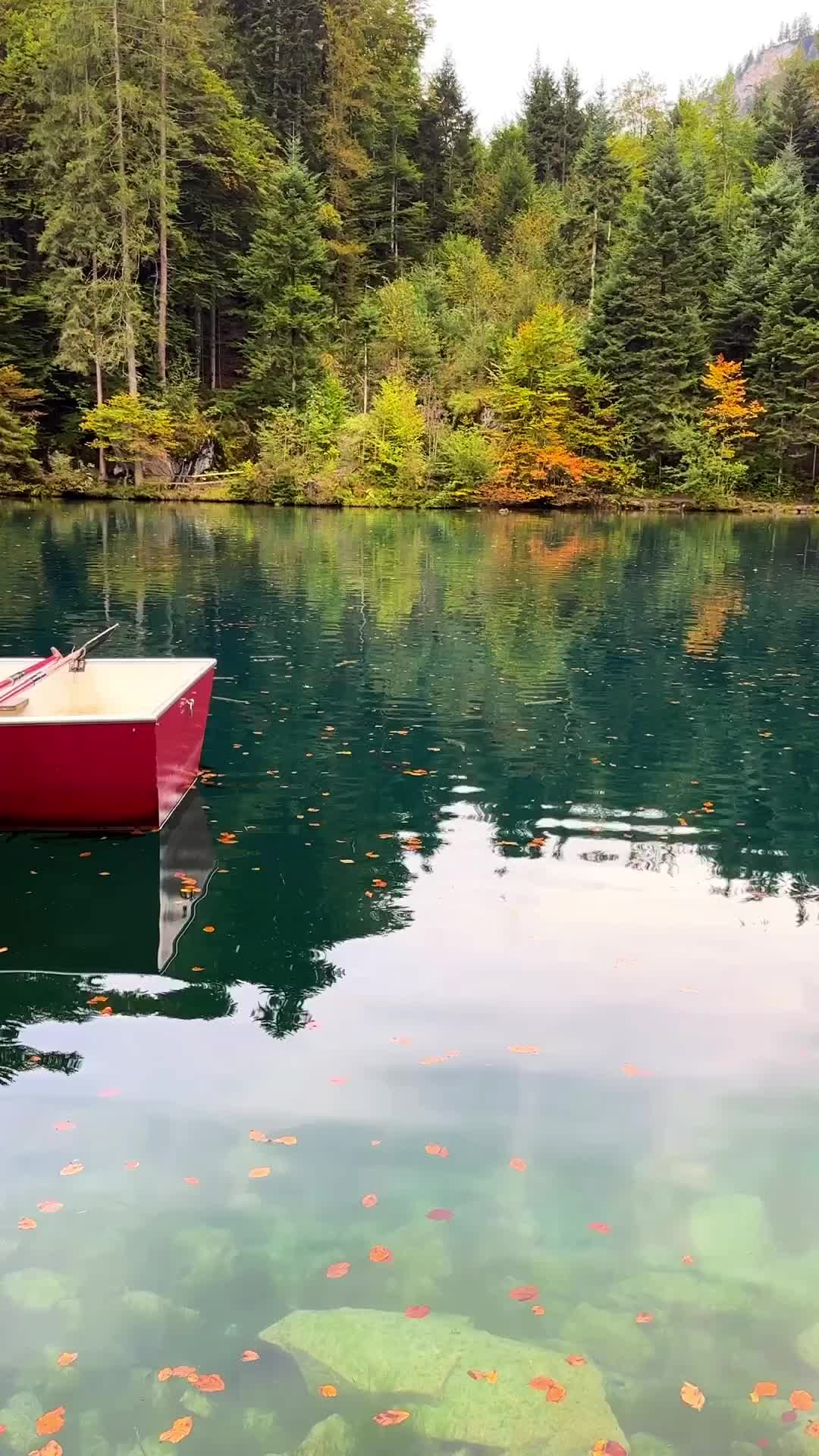 Serenity at Blausee Lake, Switzerland's Hidden Gem