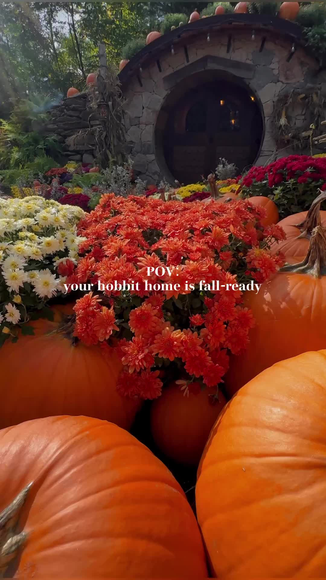 Fall Photoshoot at The Preserve Resort's Hobbit House