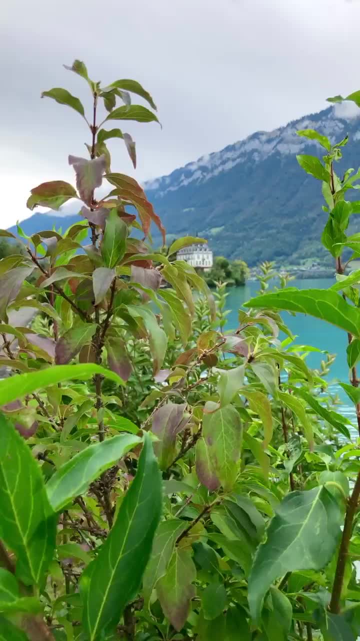 Scenic Walk Through Beautiful Iseltwald, Switzerland