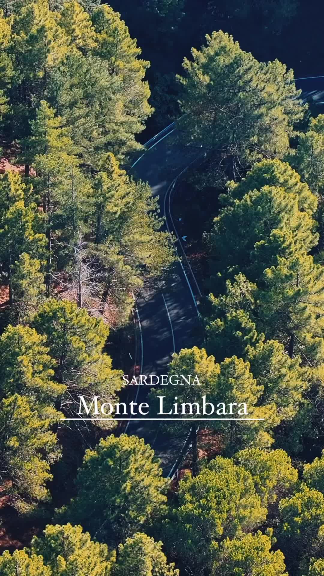 Discover Monte Limbara: Drone Views of Sardinia's Beauty