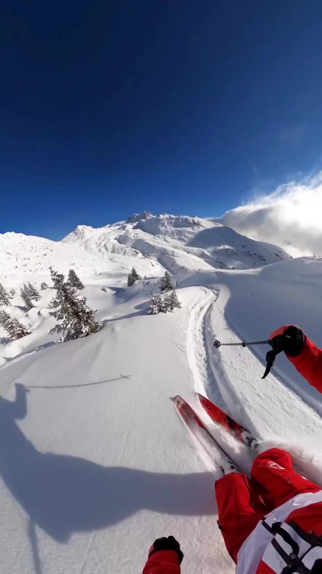 Powder Dreams: Skiing Adventures in La Plagne ❄️