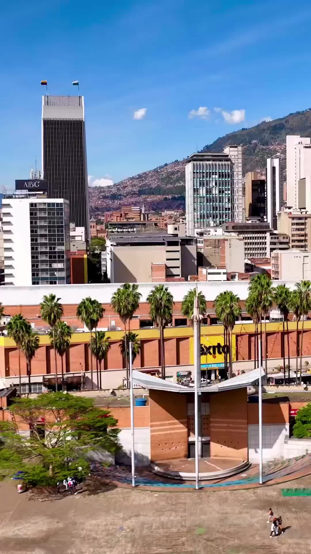 Palm Trees in Medellin, Colombia - Cityscape Views 🌴🏙️
