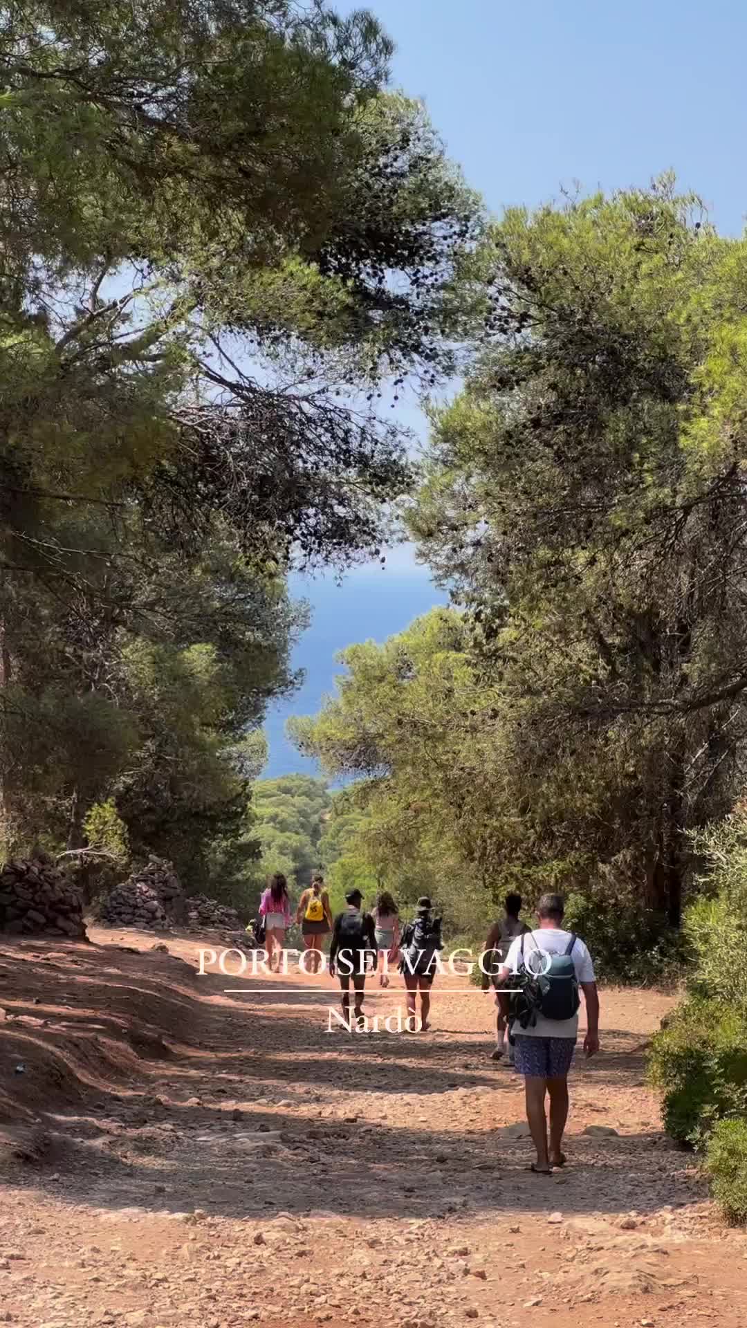 Benvenuti nel parco naturale di Porto Selvaggio, benvenuti nella natura protetta di Puglia 💚💙
.
.
.
.
.
#puglia #salento #bucketlist #mare #spiaggedasogno #ig_italia #travellingthroughtheworld #pugliagram #wonderful_places #pugliamia #map_of_italy #italysegreta #italyintheworlds #igersitalia #italia #bestplacestogo #lonelyplanet #salentodamare #beachesnresorts #howitalyfeels #lecce #mediterraneanstyle #mediterraneanlife #mediterranean #vitalenta #naturephotography  #nardò #italyfromawindow #slowlife #portoselvaggio