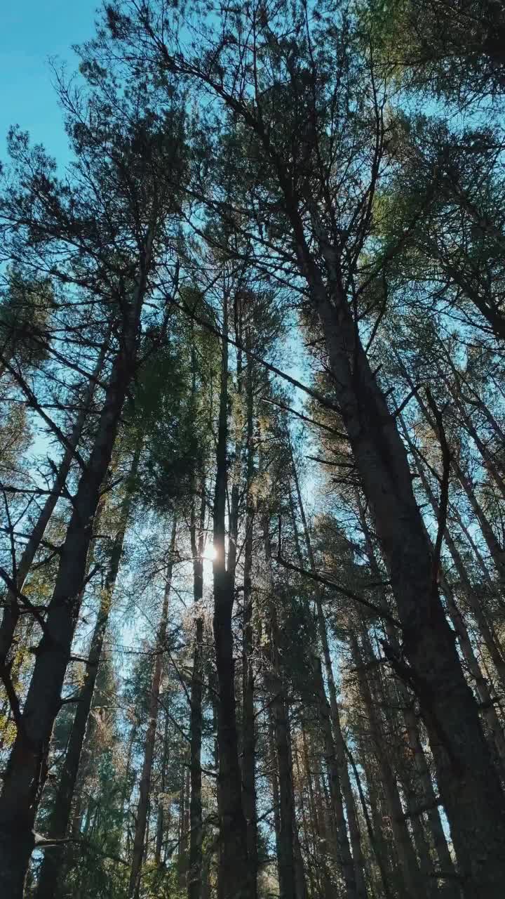 Scotland Twilight Vibes: Revisit Balmoral Cairns Walk