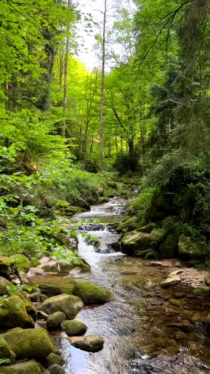 Serene Hiking Trails in Baden-Baden, Germany