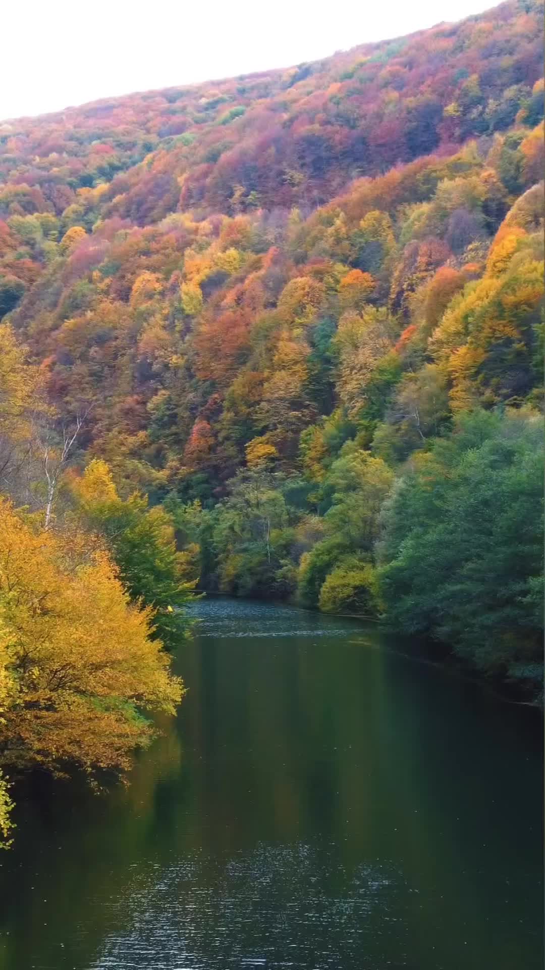 Fall Foliage at Dolni Pasarel Lake, Bulgaria