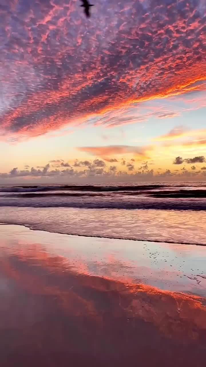 The Magic of Love at Sunset in Daytona Beach