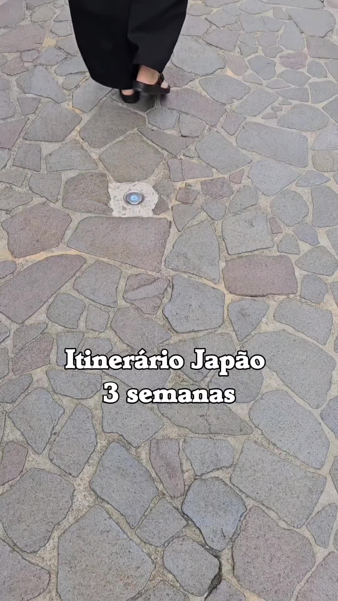 3 WEEKS IN JAPAN - SAVE THIS FOR LATER! 🇯🇵

🇵🇹 Nagoya (1 dia) - voámos para o aeroporto de Nagoya porque era mais barato. Gostámos da cidade e muito de um templo que visitámos portanto até valeu a pena!

Kawaguchiko (2 noites) - viemos aqui para ver o Monte Fuji (e com sucesso ahah) e achámos que o número de dias foi bom 😊

Minobu (2 noites) - ficámos no Kakurinbo temple a viver na paz e ficaremos mais tempo!

Tóquio (5 noites) -  sem dúvida devíamos ter ficado menos tempo 🥲

Kanazawa (3 noites) - gostámos muito e conseguimos ver tudo nas calmas com este tempo.

Quioto (5 noites) - apesar de termos gostado de partes de Quioto, talvez da próxima vez ficaremos 3 noites em Quioto e 2 num lugar perto mais no meio da natureza 😍

Osaka (3 noites, com ida a Nara) - surpreendentemente gostámos de Osaka e deu para ir a Nara num dos dias!

Já foste ao Japão? Visitaste outro lugar para além destes? 😍

🇬🇧 Nagoya (1 day) - we flew into Nagoya airport because it was cheaper. We liked the city and a lot about a temple we visited, so it was worth it!

Kawaguchiko (2 nights) - we came here to see Mount Fuji (and successfully ahah) and thought the number of days was good.

Minobu (2 nights) - we stayed at the Kakurinbo temple living in peace and will stay longer!

Tokyo (5 nights) - we definitely should have stayed less
Kanazawa (3 nights) - we really enjoyed it and managed to see everything at leisure in this weather

Kyoto (5 nights) - although we liked parts of Kyoto, maybe next time we'll stay 3 nights in Kyoto and 2 in a nearby place more in the middle of nature.

Osaka (3 nights, with a trip to Nara) - surprisingly we liked Osaka!

Have you ever been to Japan? Have you visited any other places besides these? 😍

#kyoto #visitkyoto #japantrip #traveljapan #japantravel #traveltokyo #exploringjapan #discoverjapan #japantravel #visitjapan