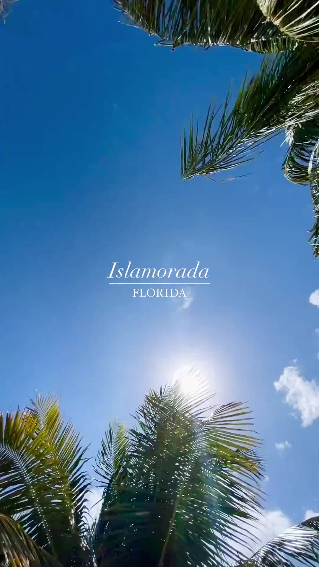 Enter Vacation Mode in Islamorada, Florida Keys