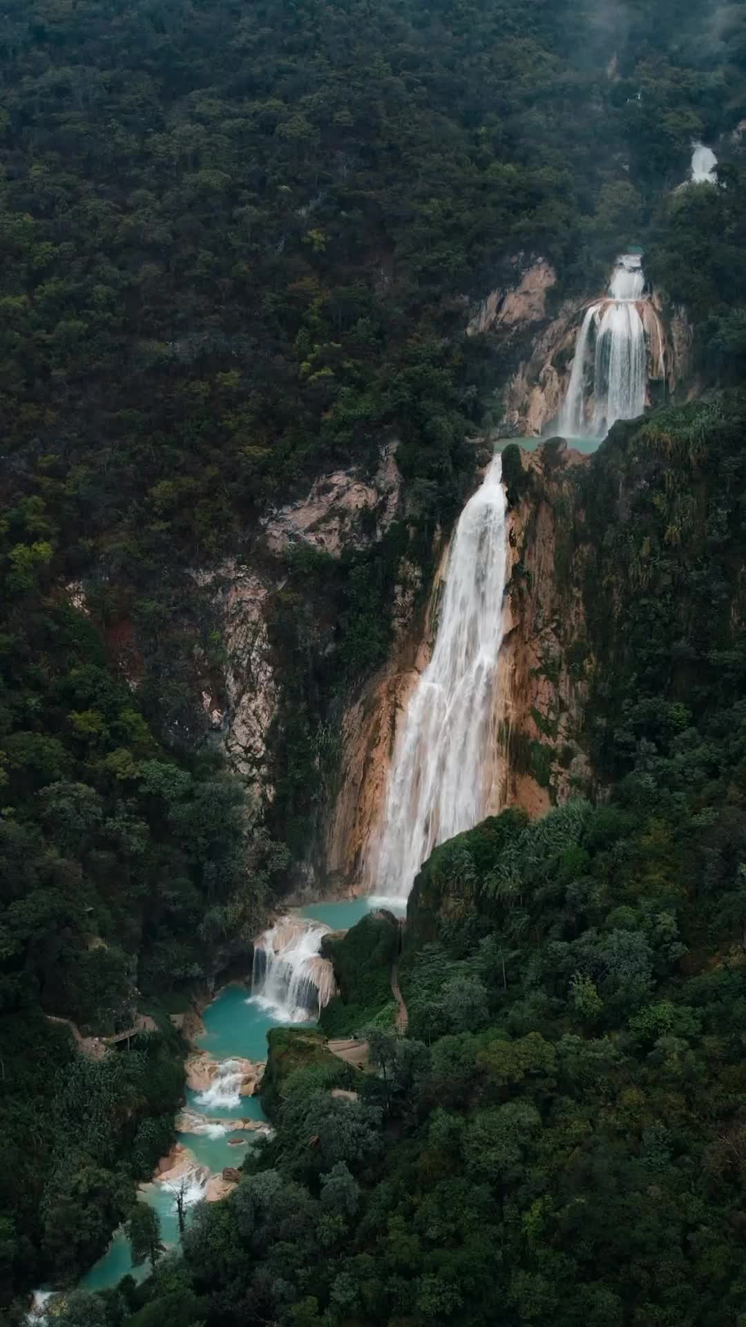 Mighty waterfalls of Chiapas, Mexico. 

#mexicomagico #visitmexico #chiapas #earthfocus #earthvisuals #visualambassadors #visualsofearth #earthoutdoors #waterfalls #cascadas #travelreels #voyaged #beautifuldestinations