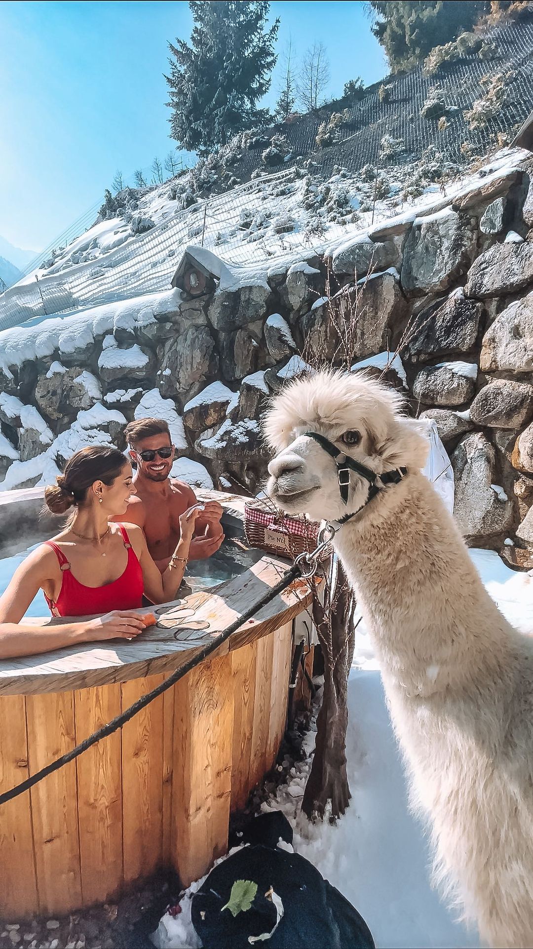 Os presento a Bernie y Happy!🦙☺️
Una súper experiencia el haber conocido a las famosas alpacas de @chalet_al_foss ❤️

•
•
•
#happy #day #life #style #travel #world #sky #blue #Italy #Dolomites #reels #reel #traveling #traveler #travelawesome #snow #chaletalfoss #me #alpaca