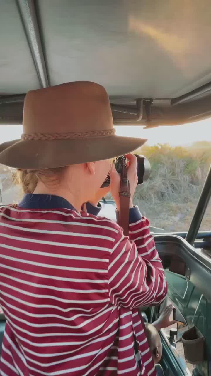 Lion Cubs Roaring in Amboseli: A Safari Adventure