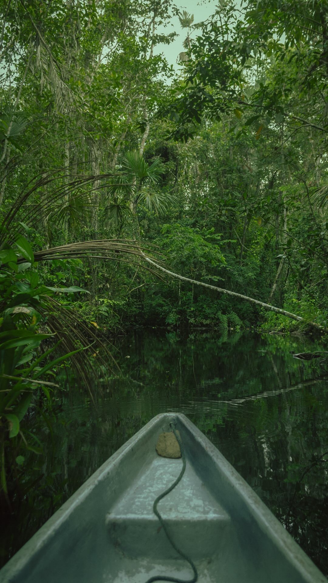 Chuquipogyo, Ecuador