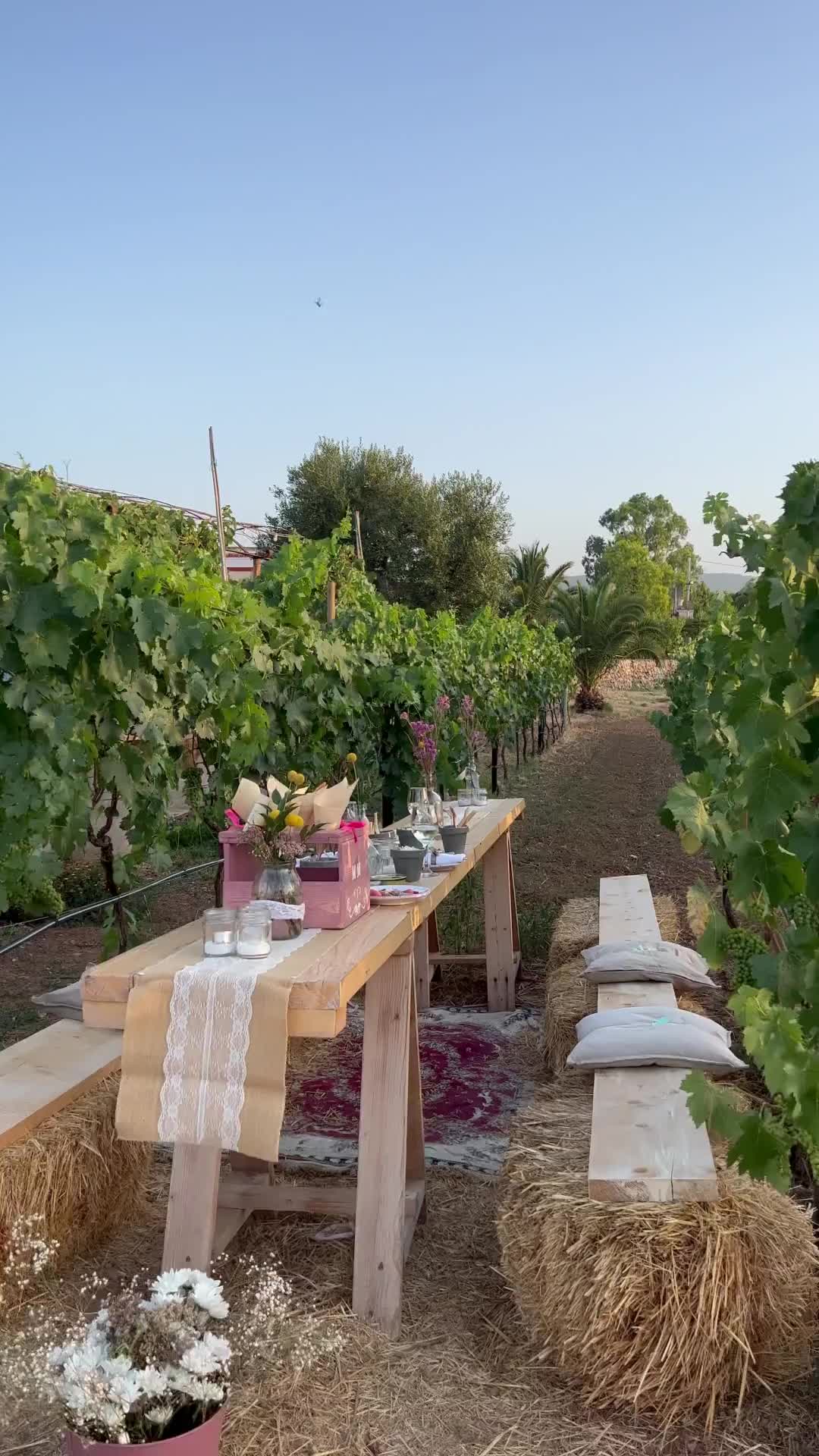 Aperitivo in Apuglian Vineyards at Masseria Montenapoleone
