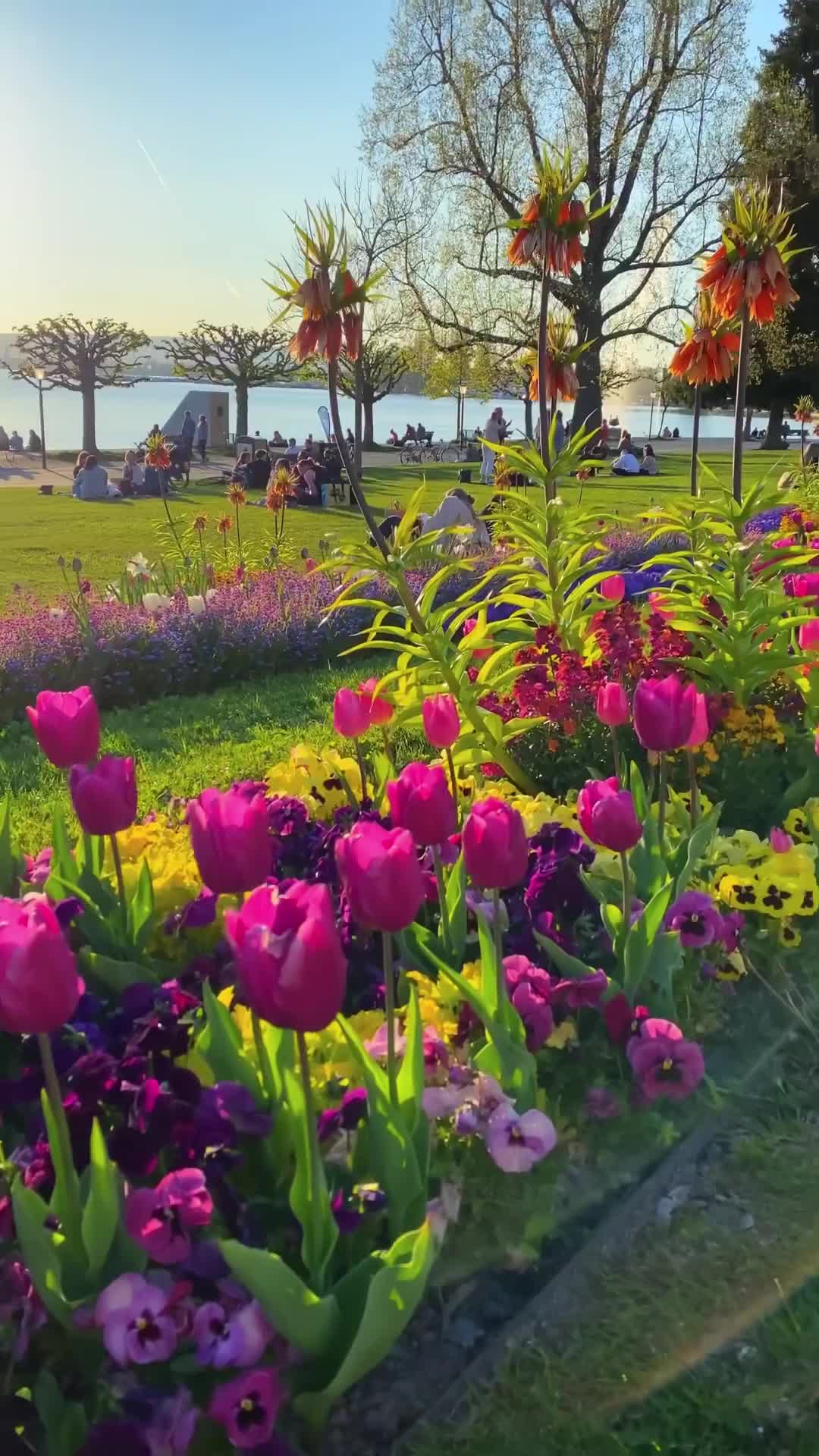 Discover the Most Beautiful Spot in Zug, Switzerland