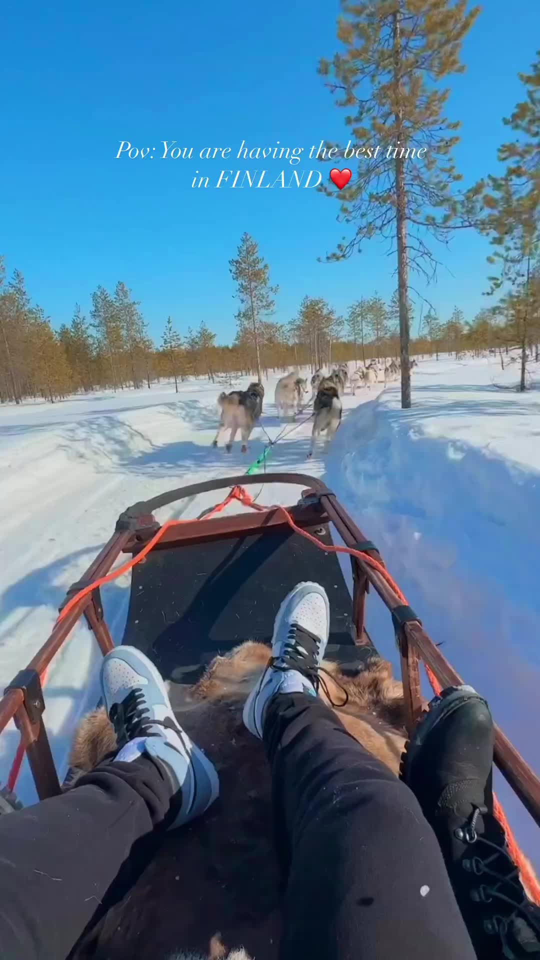 Husky Sleigh Ride in Lapland: A Bucket List Adventure