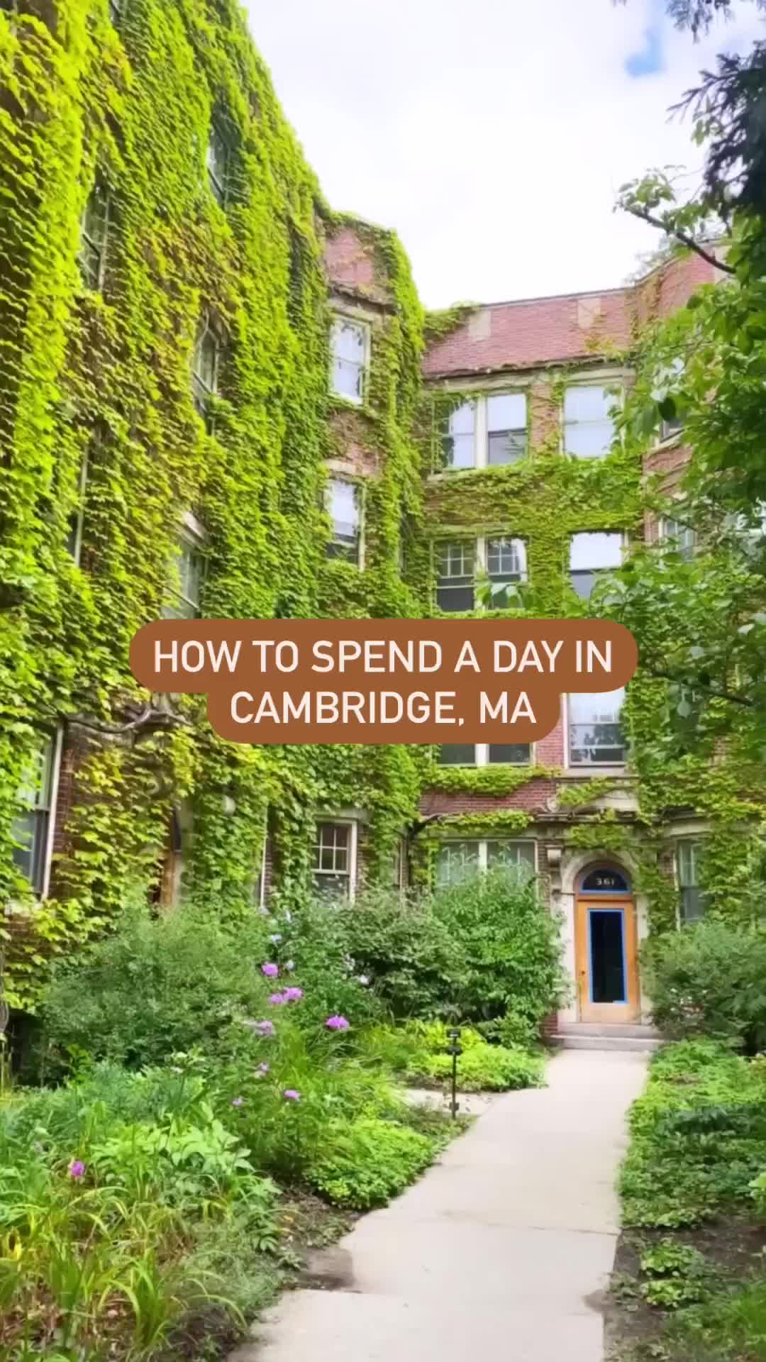 Spend a Day in Harvard Square, Cambridge, MA