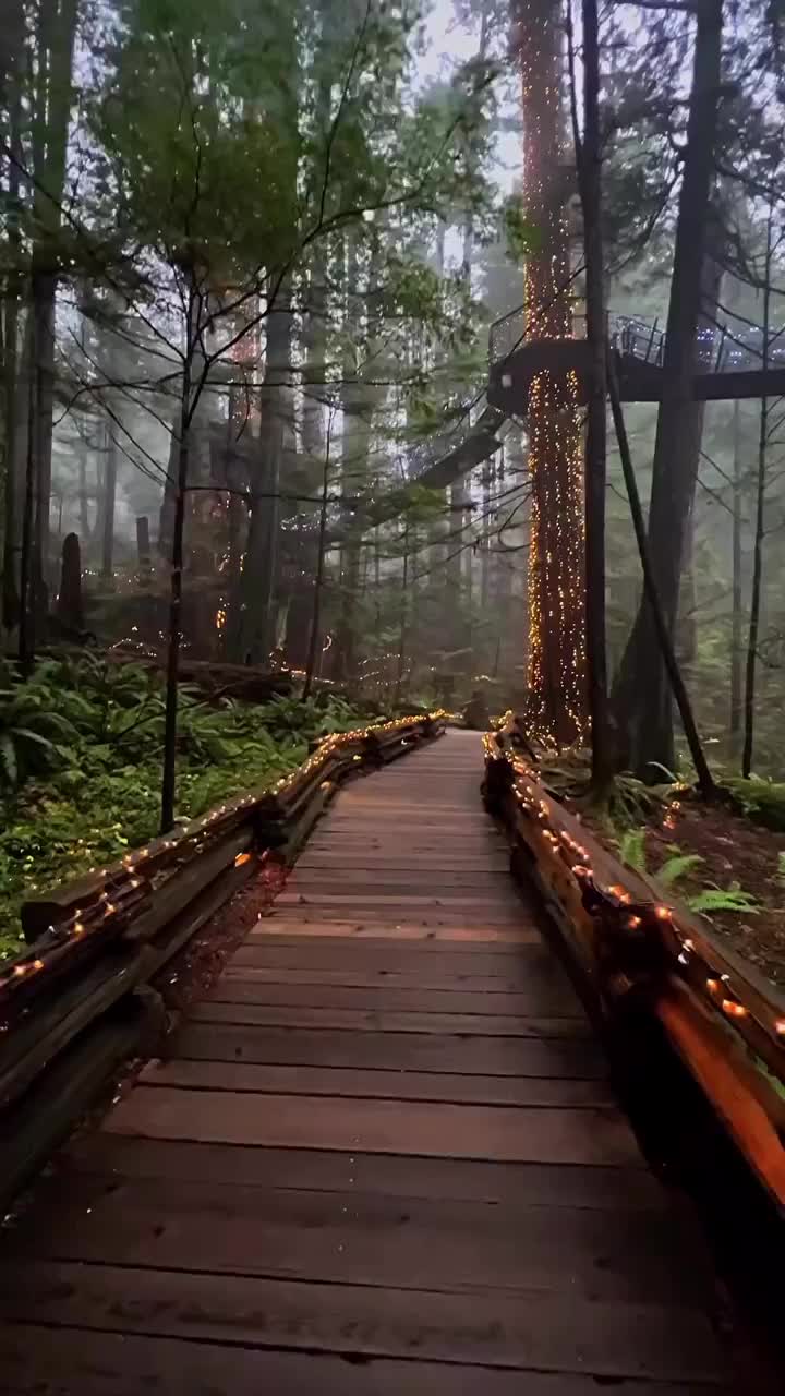 Stunning Capilano Suspension Bridge in Vancouver, Canada
