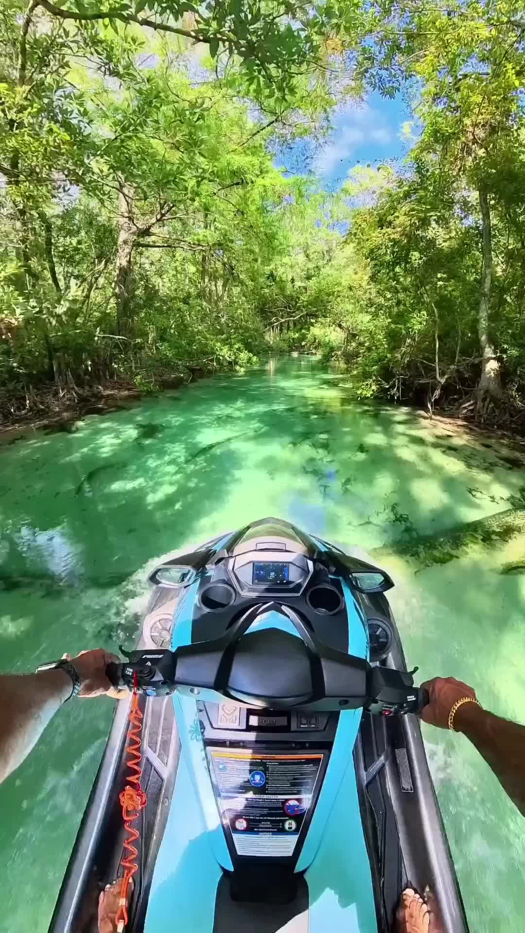 Heaven on Earth: Exploring Wiki Wachee River