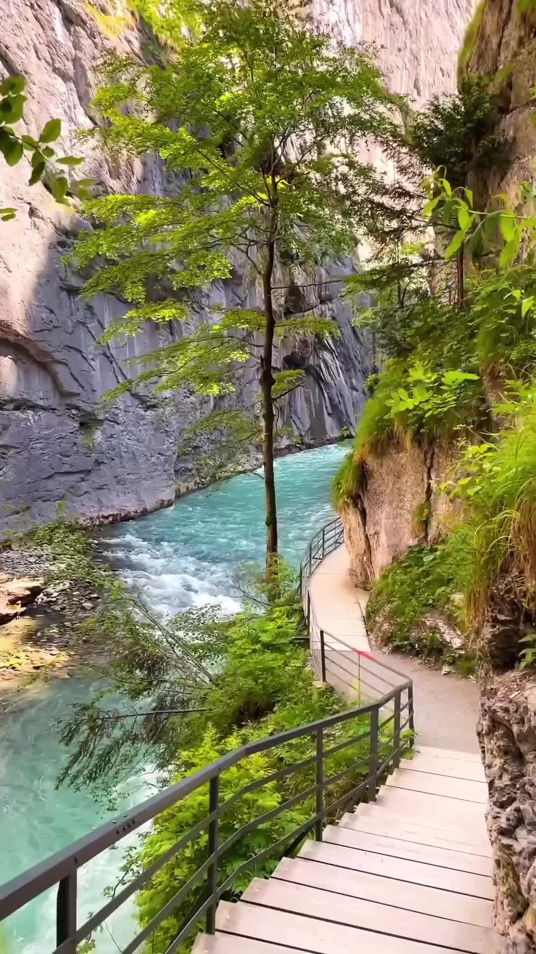 Explore Aare Gorge: Stunning Nature in Bern, Switzerland
