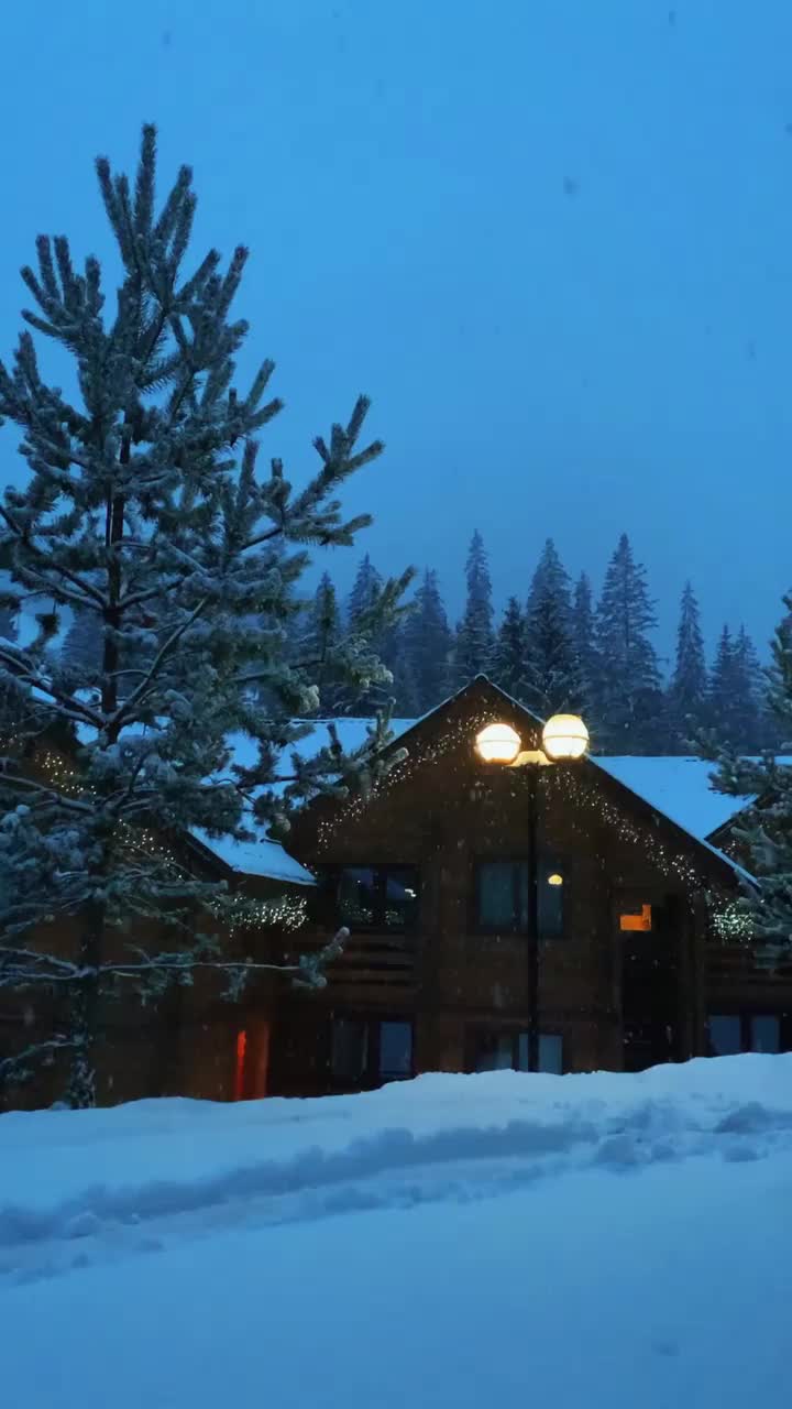 Serene Snowfall in Bukovel, Ukraine ❄️