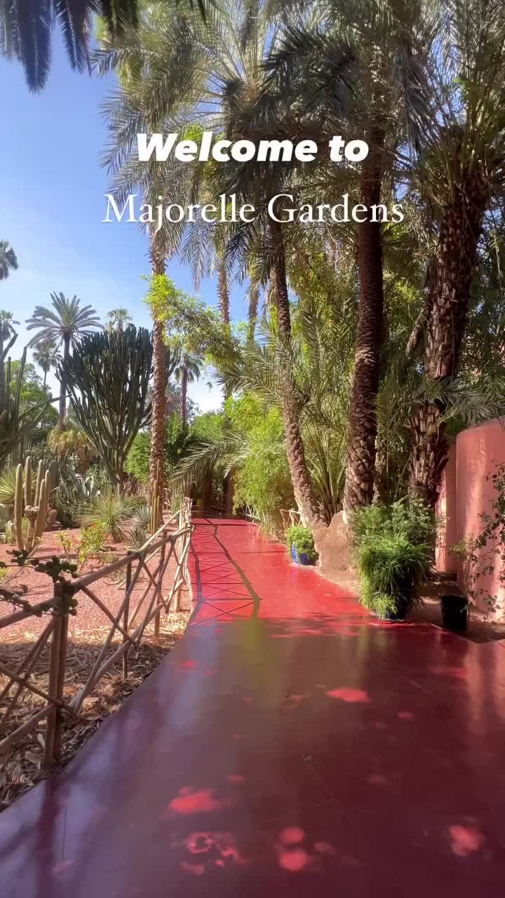 Majorelle Garden: Beauty in Marrakech