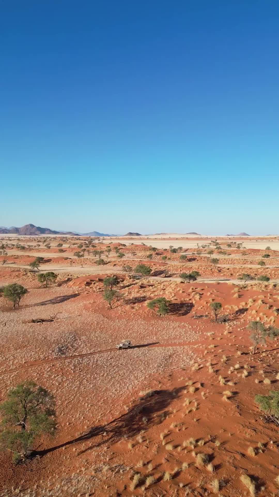 Explore the Majestic Beauty of Namib Rand Nature Reserve