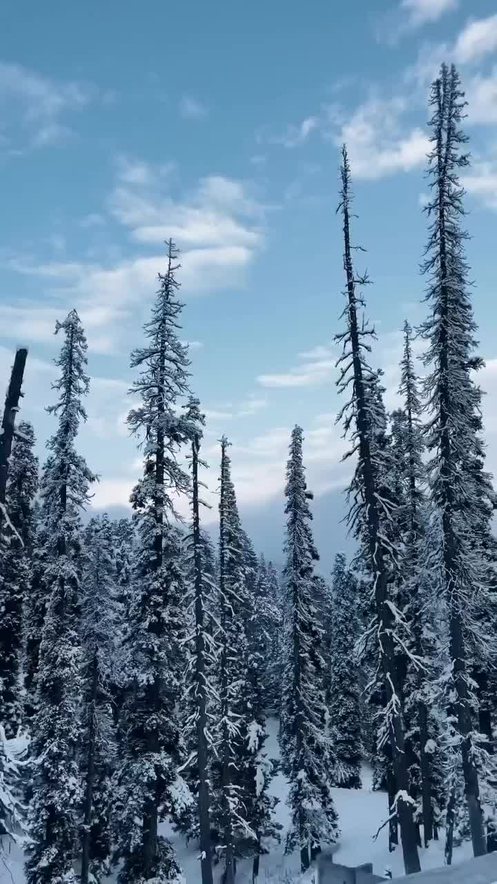 Enchanting Snowy Gulmarg: Heartfelt Winter Wonderland