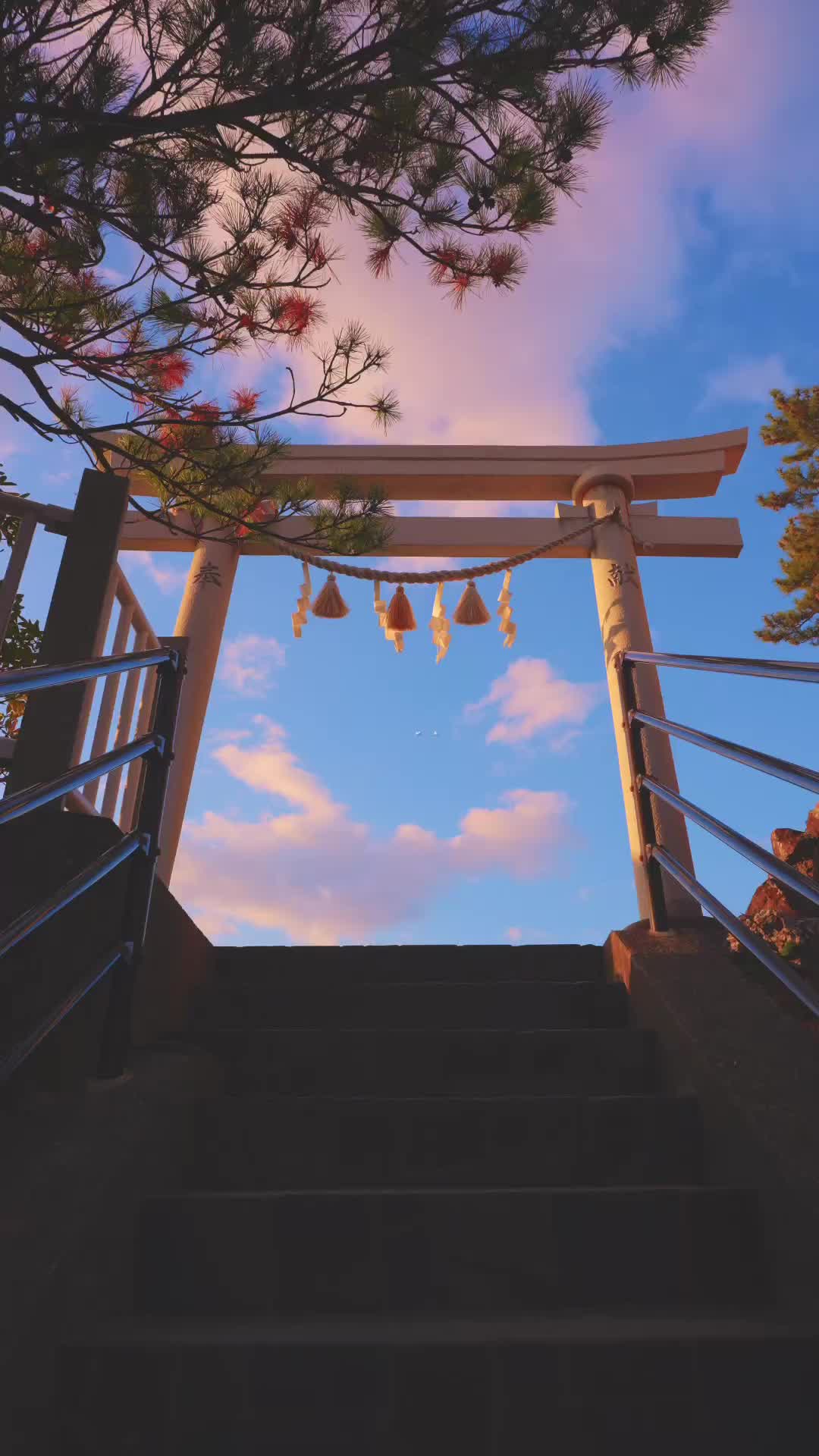 Stunning Sunrise at Kaizumi-jinja Shrine, Katsurahama