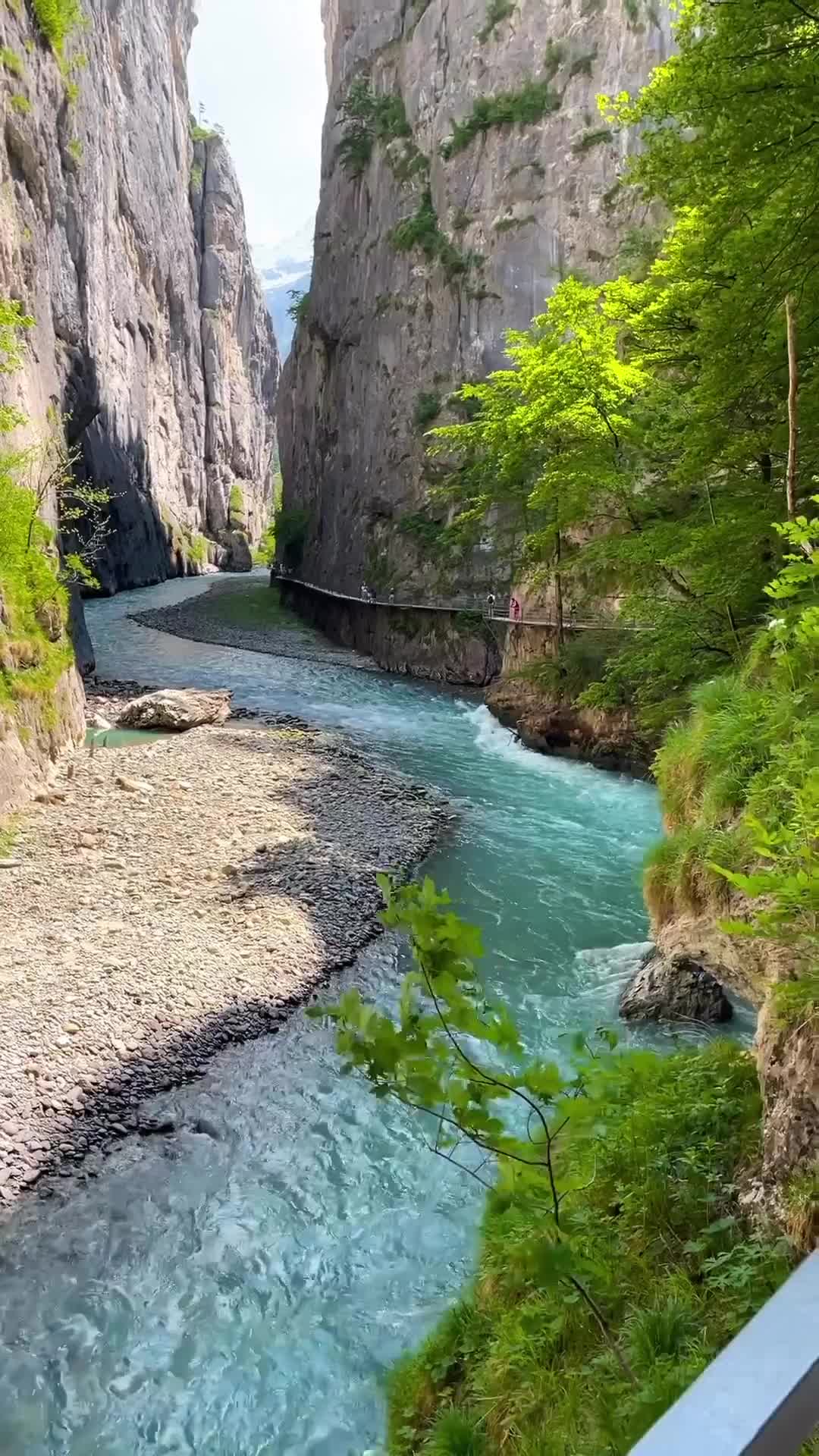 Discover Aare Gorge in Bern, Switzerland 🌿🇨🇭