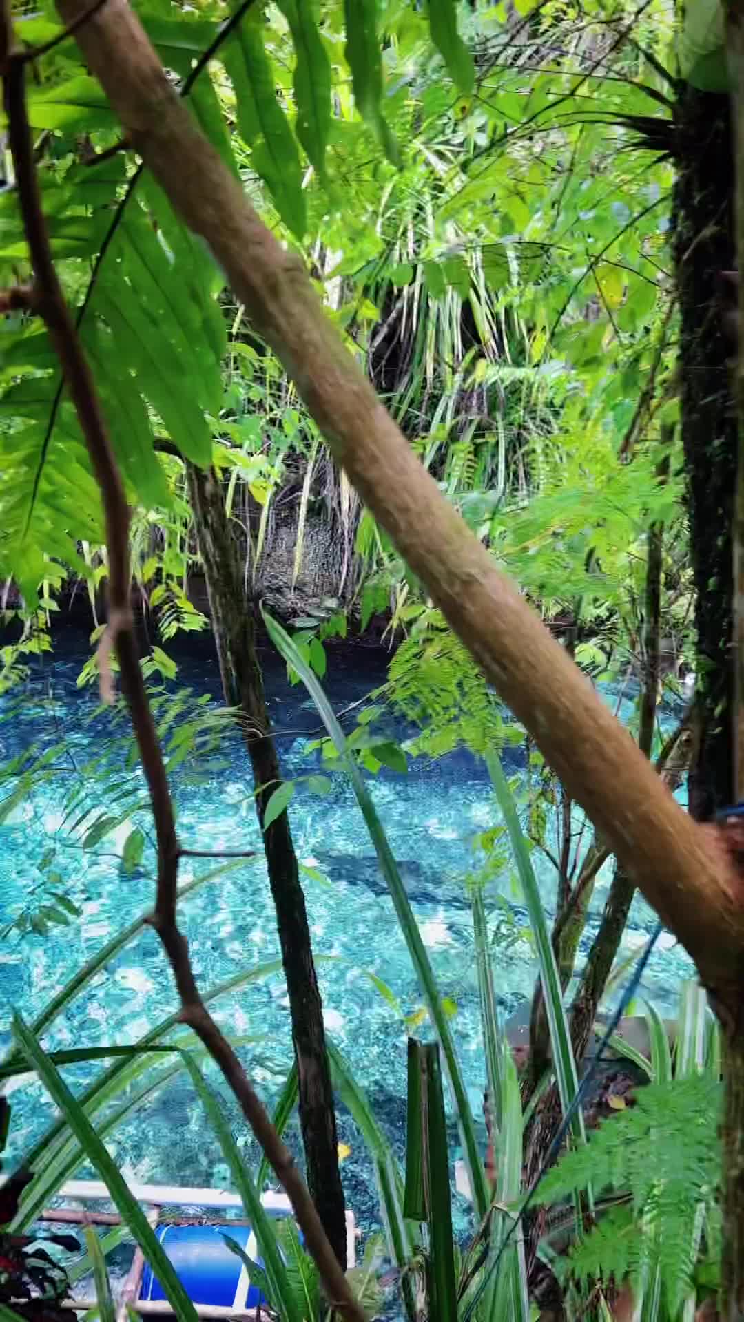 Enchanted River Hinatuan: Nature's Paradise in the Philippines