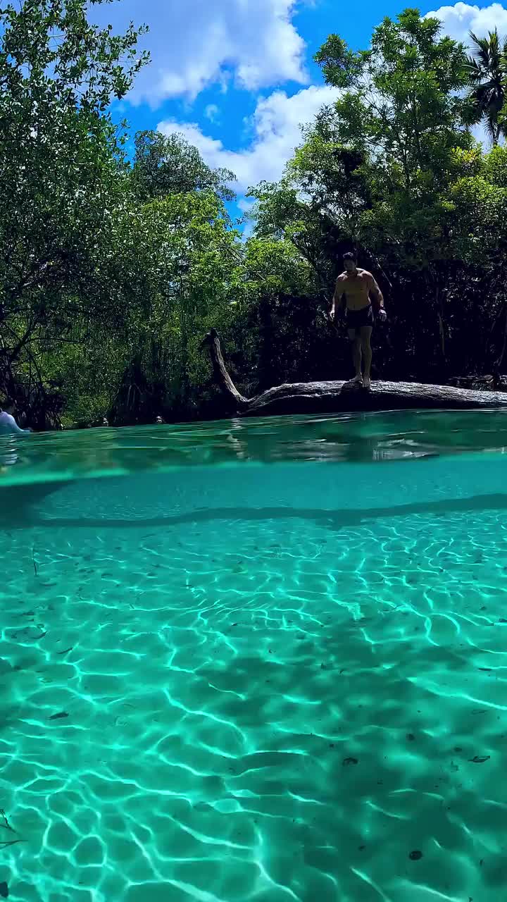 Discover Tranquility in Las Galeras, Dominican Republic