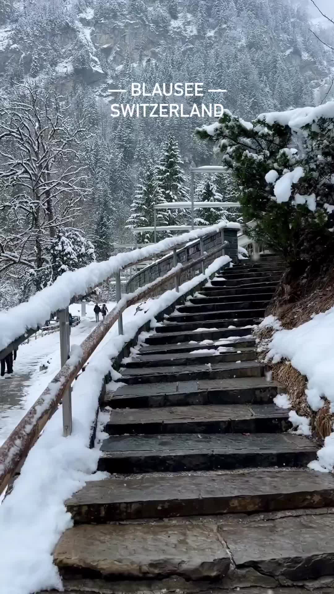 Winter Wonderland at Blausee, Switzerland