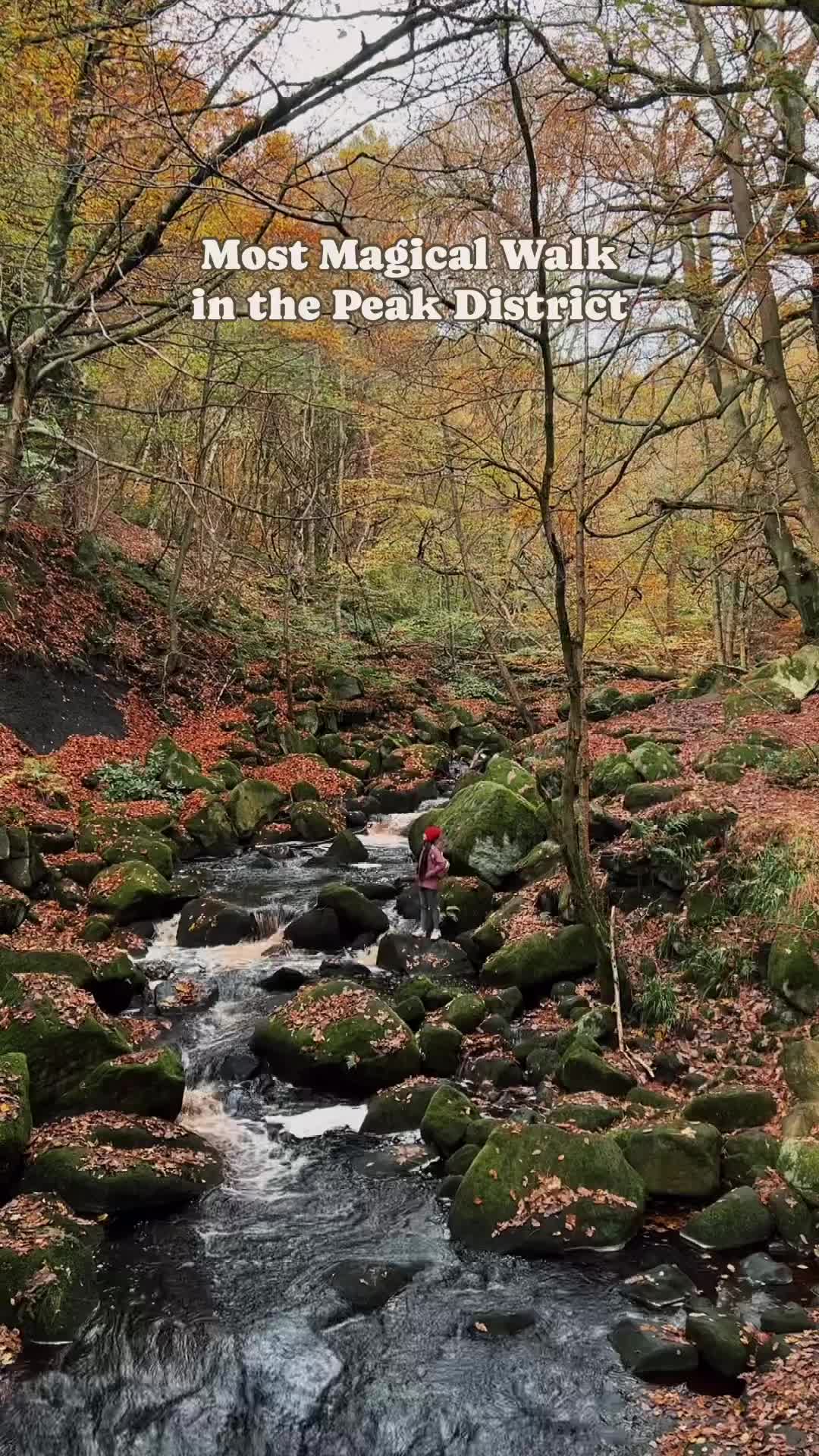 Magical Walk in Padley Gorge, Peak District