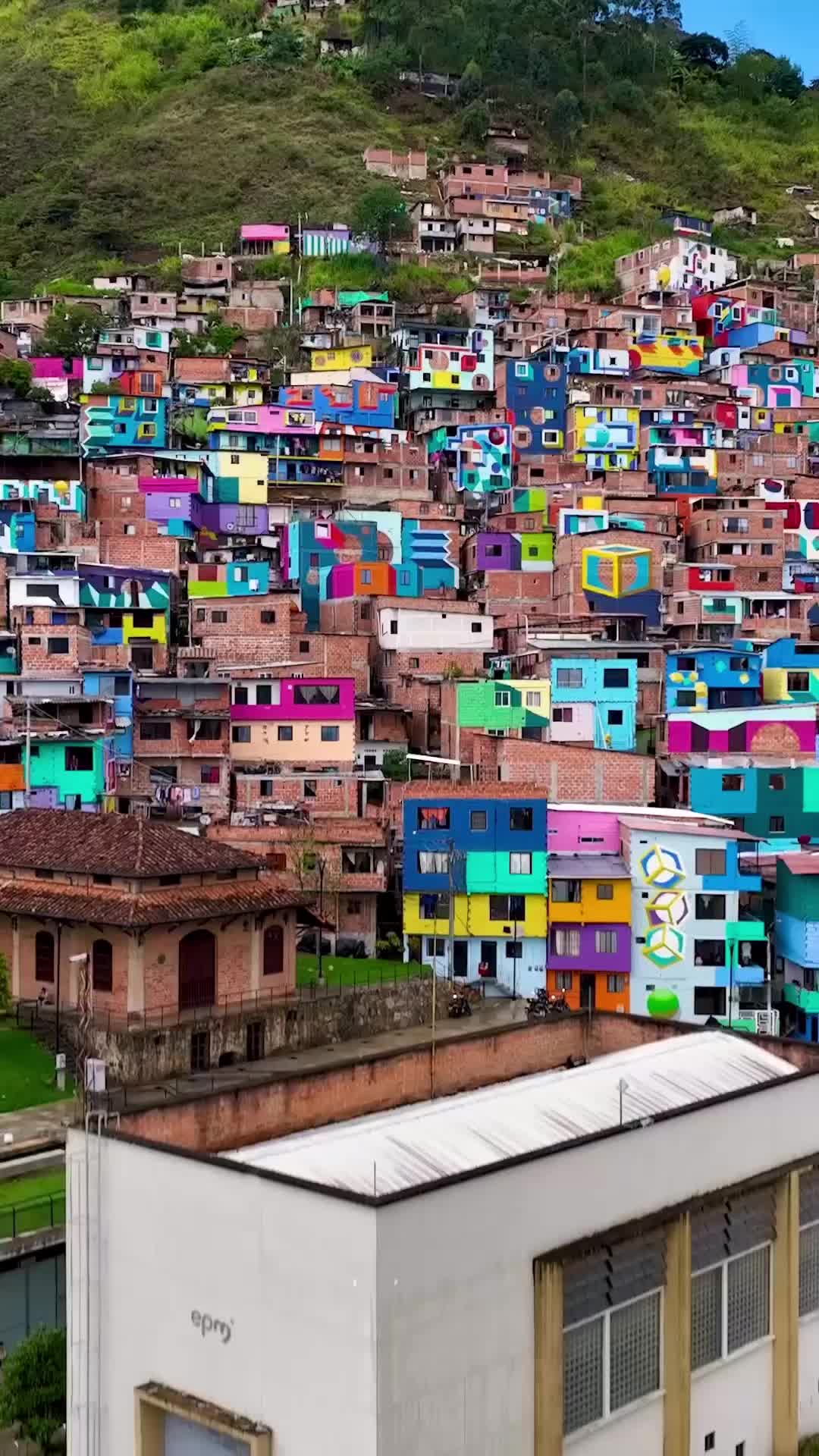 Discover Uva De La Armonía in Medellin, Colombia