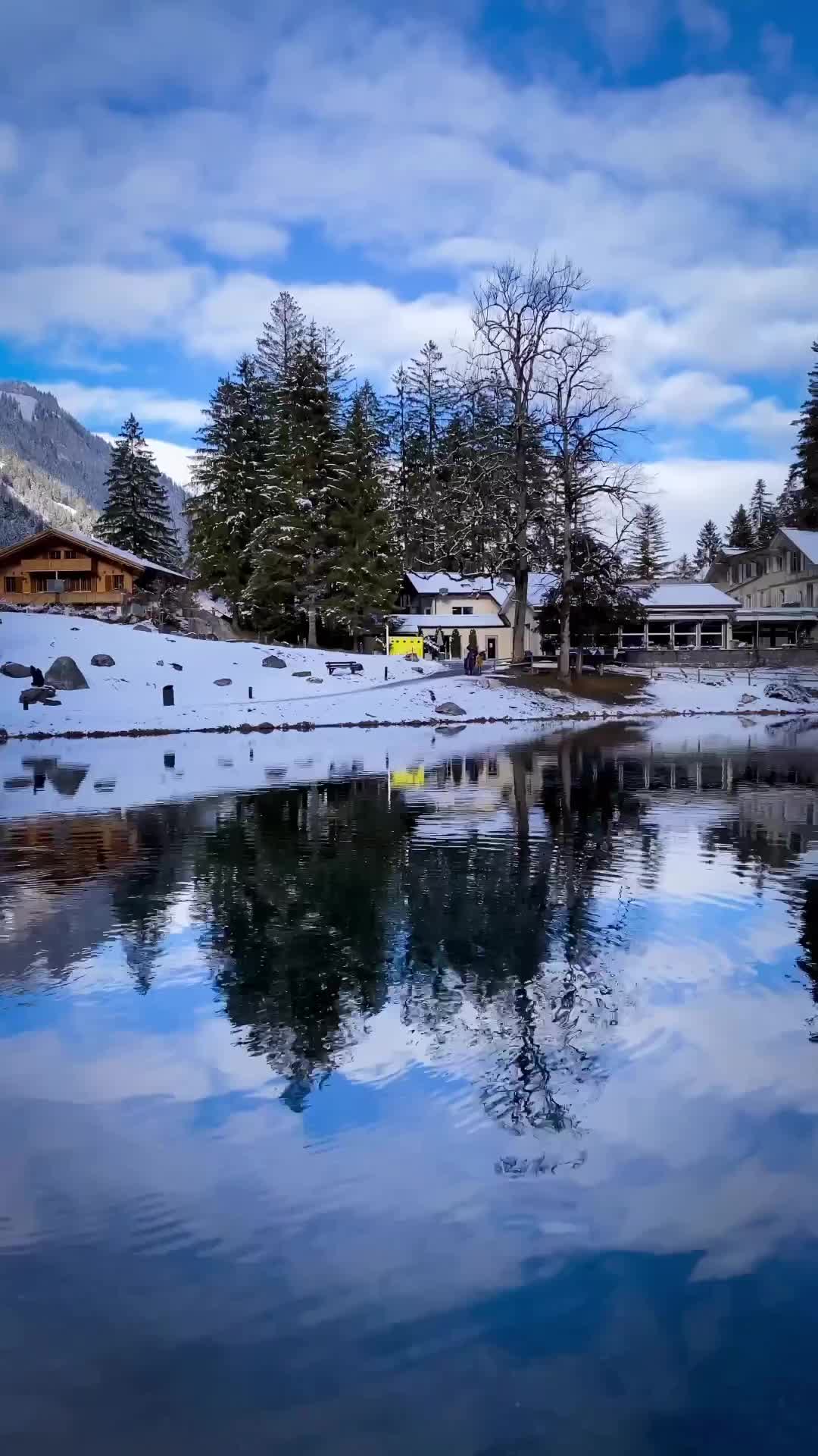 Discover the Serene Beauty of Blausee, Switzerland