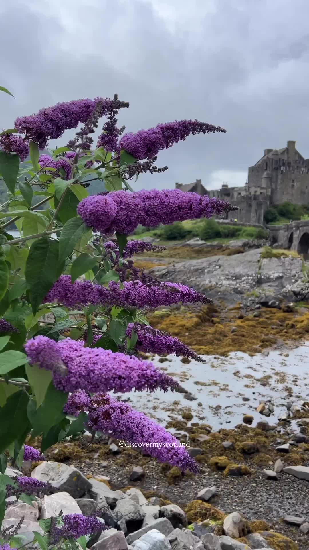 Eilean Donan Castle: Scotland's Seasonal Beauty