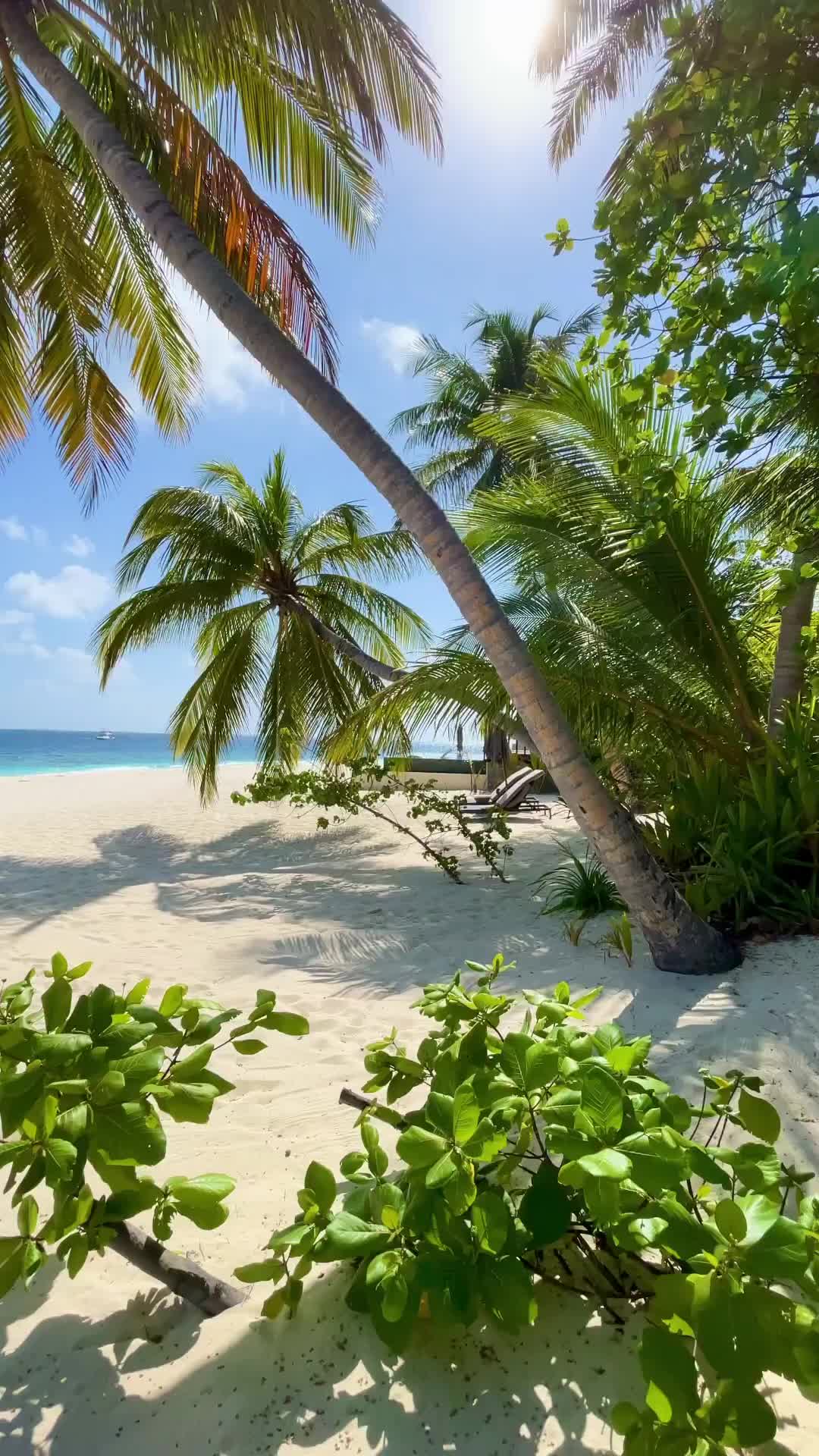 Paradise Found at Park Hyatt Maldives Hadahaa 🌊☀️🌴