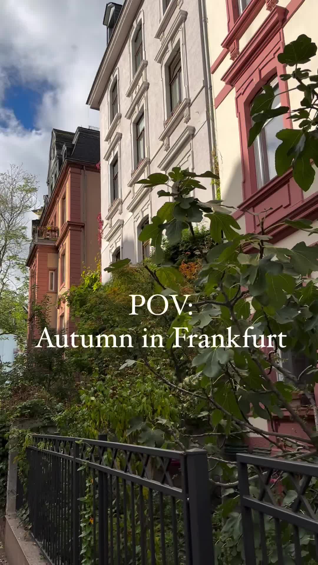 Autumn Leaf Peeping in Frankfurt's Windy Beauty
