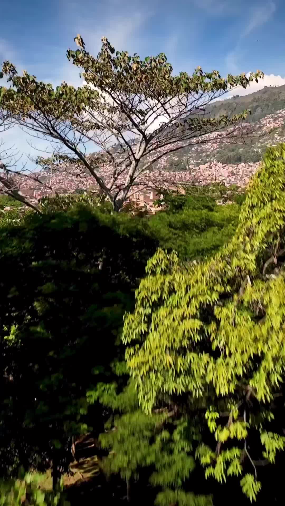 Explore Jardín Botánico de Medellín, Colombia