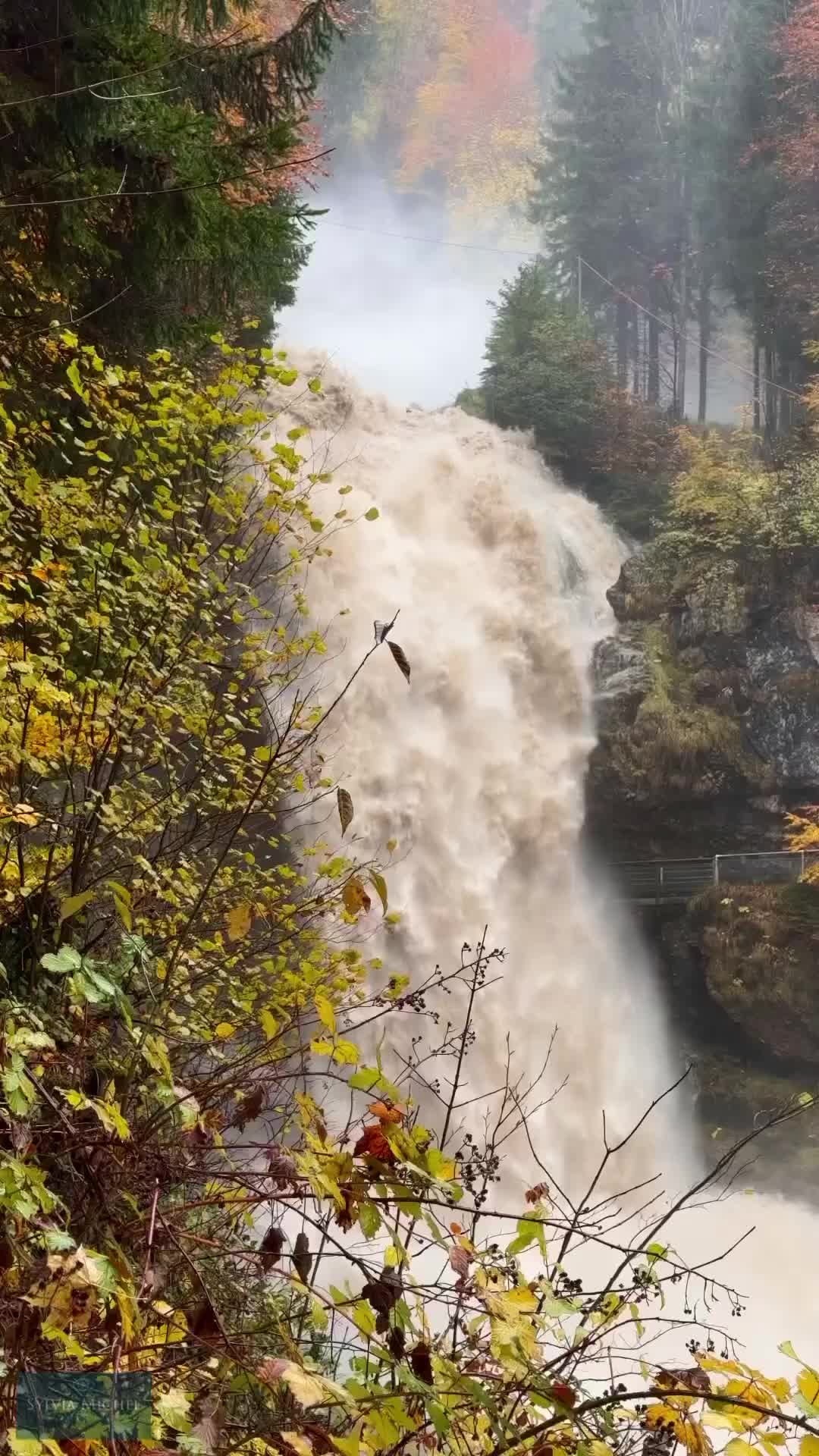 Impressive Giessbach Waterfall After Heavy Rainfall