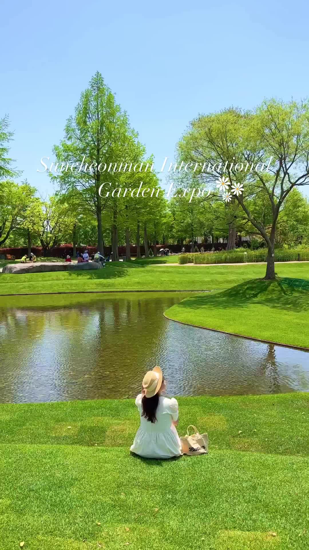 Explore Suncheon Bay Garden Expo: A Nature Lover's Paradise