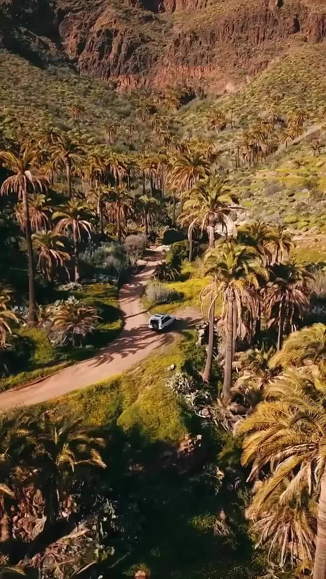 Oasis en Gran Canaria: Nature's Hidden Gem 🌴